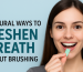Natural Ways to Keep Your Breath Fresh Without a Toothbrush