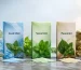 Cool Mint vs Spearmint vs Paanmint